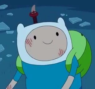 Finn the Human